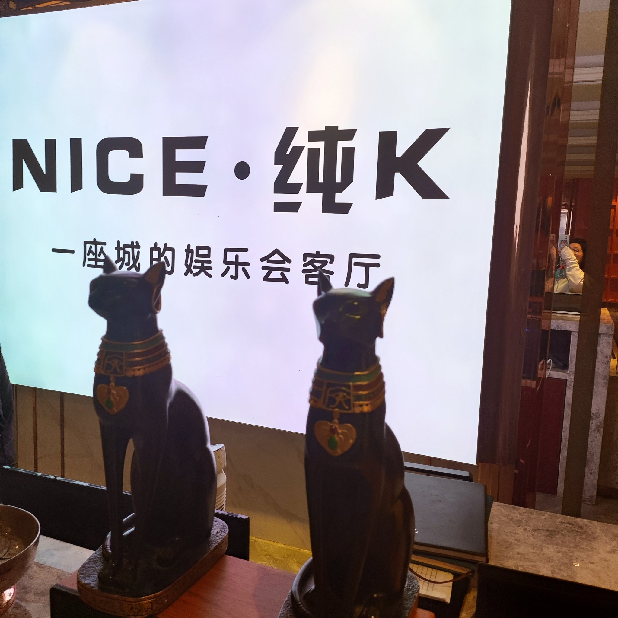 邯郸商务ktv体验-成安县ktv预订